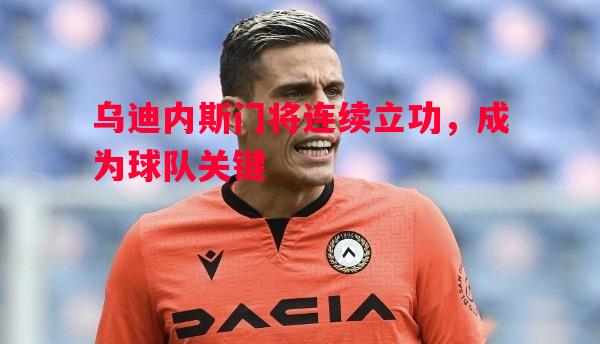 乌迪内斯门将连续立功，成为球队关键