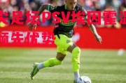 爱体育-顶尖足坛PSV埃因霍温拉开领先优势